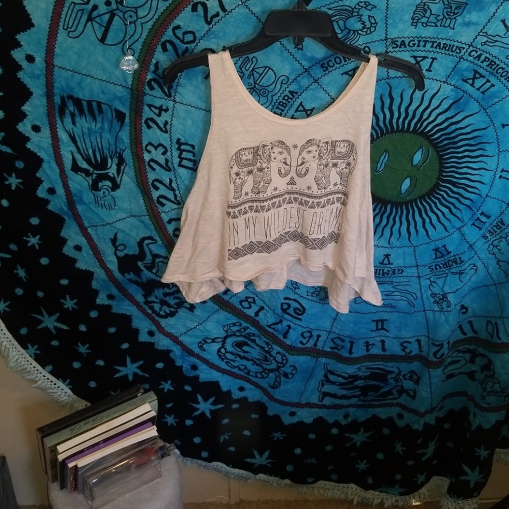 In my wildest dream crop top